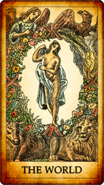Tarot Card