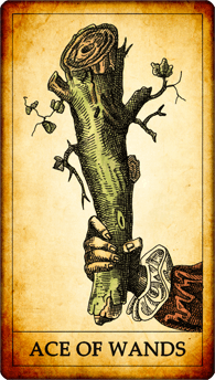 Ace of Wands